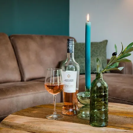 Beautiful In Holiday home Voorthuizen