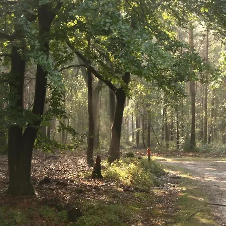 In Near Veluwe Voorthuizen