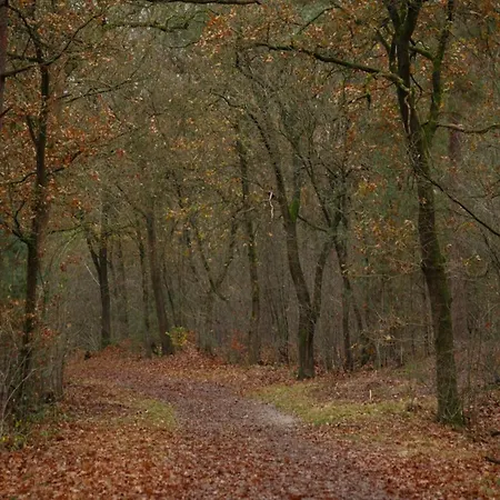 In Near Veluwe *