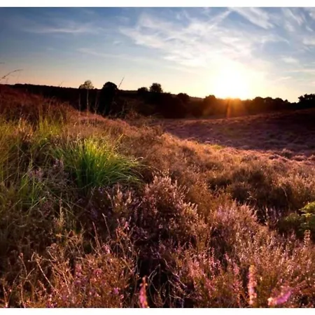 In Near Veluwe * Voorthuizen