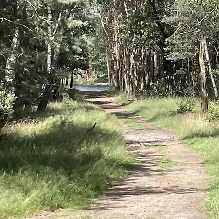 In Near Veluwe Ferienhaus