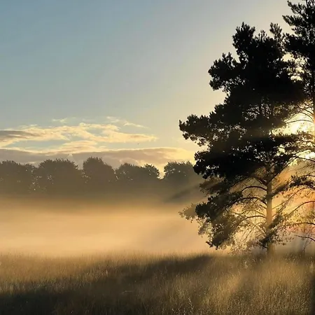 In Near Veluwe Ferienhaus Voorthuizen