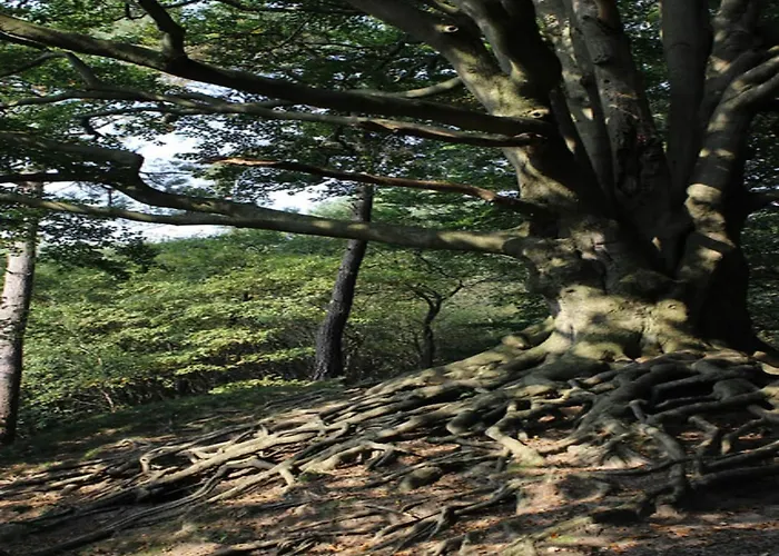 In Near Veluwe بيت للعطل