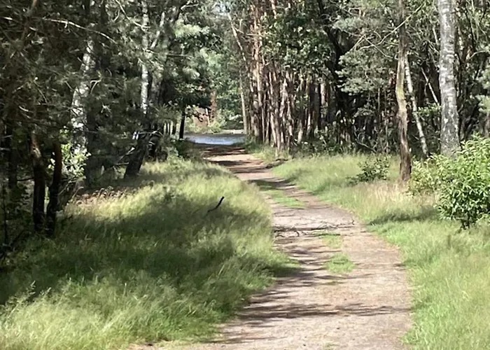 In Near Veluwe بيت للعطل