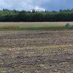 In Near Veluwe