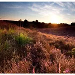 In Near Veluwe * Voorthuizen