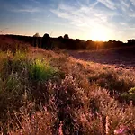 In Near Veluwe