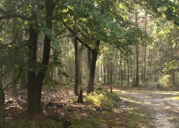 In Near Veluwe Voorthuizen