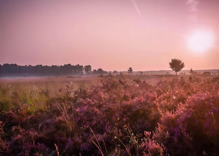 Hébergement de vacances In Near Veluwe *