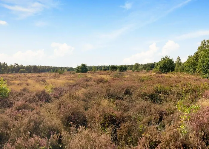 In Near Veluwe *