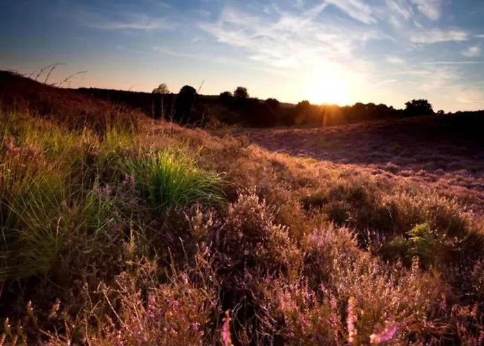 In Near Veluwe * Voorthuizen