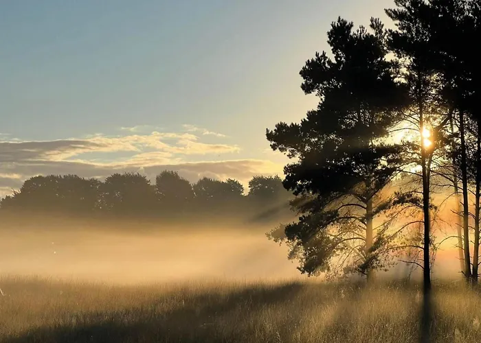 In Near Veluwe Hébergement de vacances Voorthuizen
